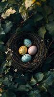 Delicate Bird Nest with Speckled Eggs Amidst Lush Greenery photo