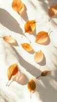 Autumnal Serenity Golden Leaves in Sunlight, A Minimalist Still Life Capturing the Essence of Fall with Warm Tones and Elegant Shadows on Clean Backdrop photo