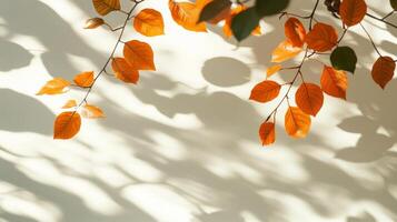Autumnal Leaves Dance A Symphony of Shadows and Light on a Textured Wall, Minimalist Botanical Design with Vibrant Orange Foliage, Perfect for Seasonal Backdrop photo