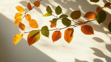 Autumn Leaves in Natural Light A Botanical Still Life with Warm Yellows and Oranges, Perfect for Seasonal Backgrounds and Artistic Designs photo