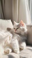 Elegant White Cat Lounging on a Cream Couch in Sunlit Serenity photo