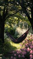 Enchanting Hammock Haven Serene Escape in Nature's Embrace, Find Tranquility Amidst Lush Greenery, A Perfect Retreat for Relaxation and Dreamy Moments photo