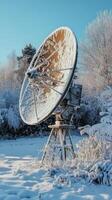 Snowy Satellite Dish A Winter Landscape of Communication Technology in a Rural Setting with Frost-Kissed Trees under a Clear Blue Sky photo