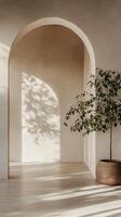 Minimalist Interior with Archway A Dance of Light and Shadow, Featuring a Serene Plant in a Pot for Tranquil Home Decor and Elegant Architectural Design photo