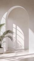 Serene Interior with Archway and Plant photo