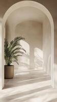 Serene Indoor Oasis Minimalist Archway with Plant, Bathed in Gentle Light and Shadows photo