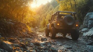 Discover Scenic Landscapes and Sunlight Trails on this Outdoor Journey into the Wilds photo
