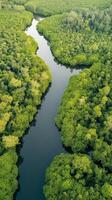 Verdant River A Serene Aerial View of Nature's Lush Embrace, Showcasing Tranquil Waters Flowing Through a Dense Forest Landscape, a Captivating Natural Vista. photo