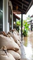 Sandbags used to protect homes from flooding photo
