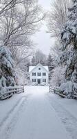 Winter's Embrace A Snowy Farmhouse Landscape. Serene winter scene of a snow-covered farmhouse, framed by snow-laden trees. A tranquil escape into nature's beauty. photo