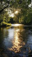 Golden Sunlight Reflecting on a Serene River, Nature's Peaceful Embrace photo