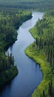 Serene River Winding Through Lush Evergreen Forest photo