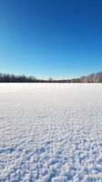 Winter Landscape with Snow-Covered Field and Clear Blue Sky photo