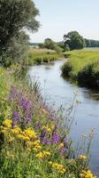 Serene Riverbank with Vibrant Wildflowers photo