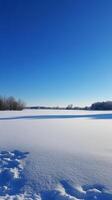 Winter Wonderland Frozen Landscape Under a Pristine Sky photo