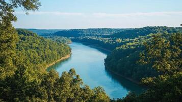 Calm river meandering through a lush forest scenery photo