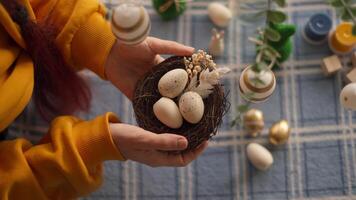 A person holding a nest with eggs in it video