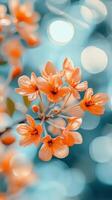 Stunning Orange Blossom in Soft Focus - A Springtime Delight photo