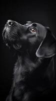 Intriguing Black Labrador Portrait A Detailed Artistic Masterpiece photo