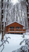 Snowy Log Cabin in the Woods - A Winter Wonderland photo