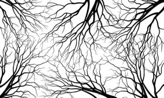 Abstract black roots pattern decorative white background. artistic geometric art. vector