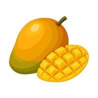 Illustration of mango fruit with mango cubes, isolated on a white background. vector