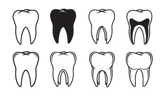 Teeth Anatomy Depicted in Artistic Styles Highlighting Creative Illustrations of Varied Shapes and Designs Perfect for Educational Use vector