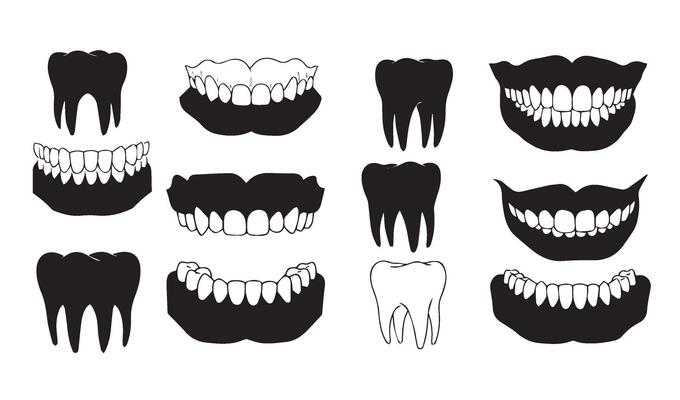 Unique Dental Illustrations Depicting Teeth Shapes and Styles Highlighting Anatomy Perfect for Educational and Creative Design Concepts