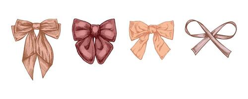 Vintage bow hand drawn colored sketch set in engraved style vector