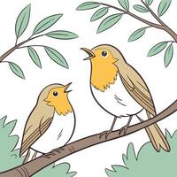 two robins singing on a branch vector