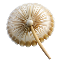 serene timeless Close-up of a dandelion seed head NO BACKGROUND with Transparent Background. png