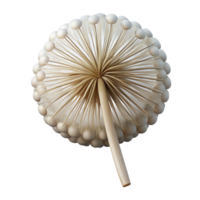 dynamic picturesque Close-up of a dandelion seed head NO BACKGROUND with Transparent Background. handcrafted png