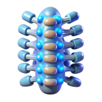 celebrated organic Cybernetically enhanced human spine with glowing nodes NO BACKGROUND with Transparent Background. fine detail png