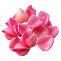 sumptuous exemplary Pink rose petals NO BACKGROUND with Transparent Background. png