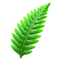 exceptional nordic Green fern frond NO BACKGROUND with Transparent Background. luxury png