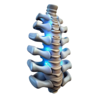 bold captivating Cybernetic spine with glowing vertebrae. NO BACKGROUND with Transparent Background. expertly shot png