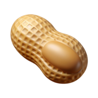 bold radiant Peanut in shell NO BACKGROUND with Transparent Background. original png