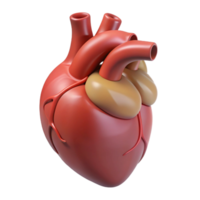 captivating classic Heart, human organ, NO BACKGROUND with Transparent Background. gallery standard png