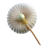 sought-after industrial Single dandelion seed head NO BACKGROUND with Transparent Background. genuine png