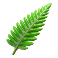 serene dramatic tropical Fern leaf NO BACKGROUND with Transparent Background. artisan png
