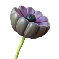 elegant traditional Poppy seed isolated NO BACKGROUND with Transparent Background. detailed png