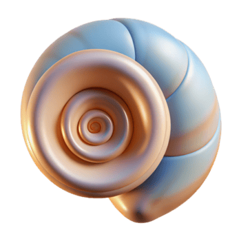 calma elegante concha espiral No antecedentes con transparente antecedentes. agudo png