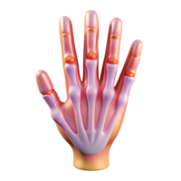 magnificent memorable X-ray image of human hand NO BACKGROUND with Transparent Background. png