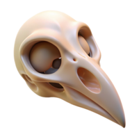 distinguished bohemian Bird skull, small NO BACKGROUND with Transparent Background. luxury png