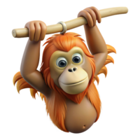 beautiful playful tropical Orangutan hanging from a branch branch not visible NO BACKGROUND with Transparent Background. high resolution png