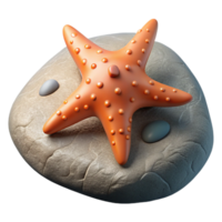 dramatic unforgettable A starfish clinging to a rock. NO BACKGROUND with Transparent Background. png