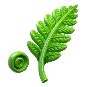 cobiçado clássico verde samambaia folha, desenrolando. não fundo com transparente fundo. estúdio qualidade png