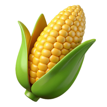 célebre meio século orelha do milho, grãos visível, descascado. não fundo com transparente fundo. refinado png