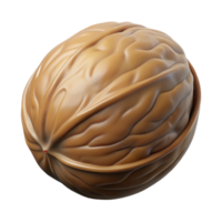 elegant gothic Single walnut, shell intact. NO BACKGROUND with Transparent Background. refined png