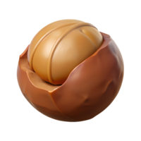dreamy beautiful Macadamia nut, single, cracked. NO BACKGROUND with Transparent Background. masterfully captured png